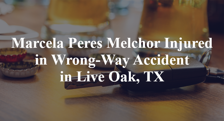 Marcela Peres Melchor Wrong-Way Accident Live Oak, TX