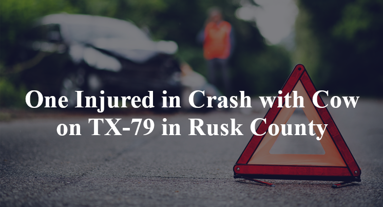 One Injured in Crash with Cow on TX-79 in Rusk County