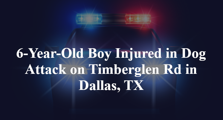 6-Year-Old Boy Injured in Dog Attack on Timberglen Rd in Dallas, TX