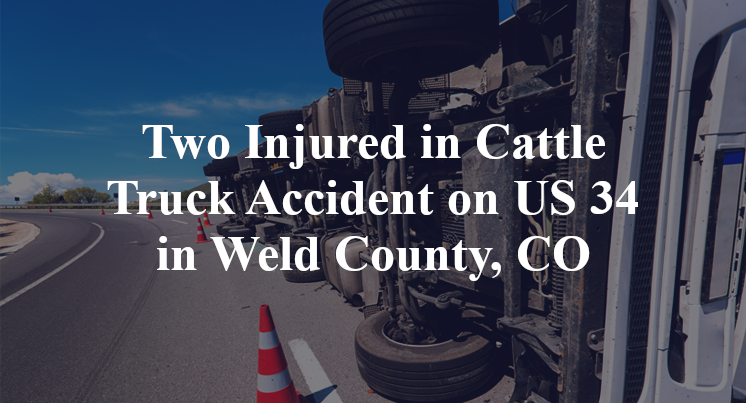 Cattle Truck Accident US 34 county road 49 Weld County, CO