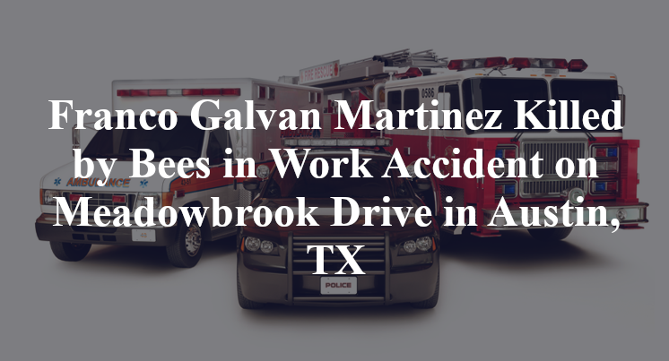 Franco Galvan Martinez Killed by Bees in Work Accident on Meadowbrook Drive in Austin, TX