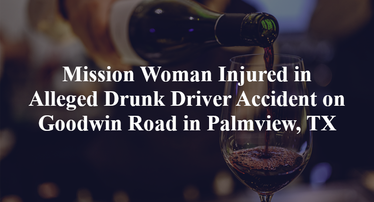 Mission Woman Injured in Alleged Drunk Driver Accident on Goodwin Road in Palmview, TX