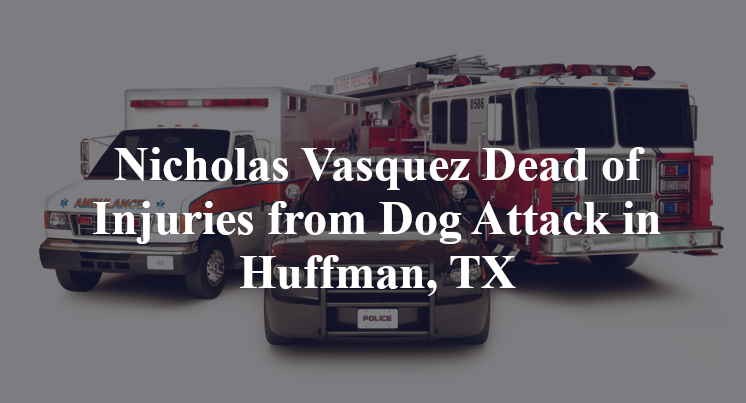 Nicholas Vasquez Dead of Injuries from Dog Attack in Huffman, TX