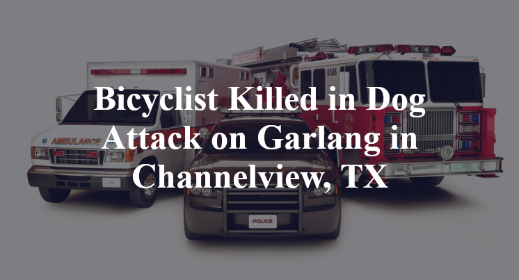 Bicyclist Killed in Dog Attack on Garlang in Channelview, TX
